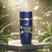 2pcs fragrance