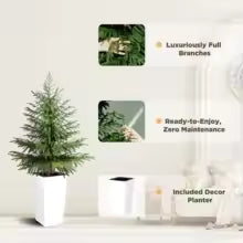 2 Pack 4FT Artificial Norfolk Pine Trees with Large Planter